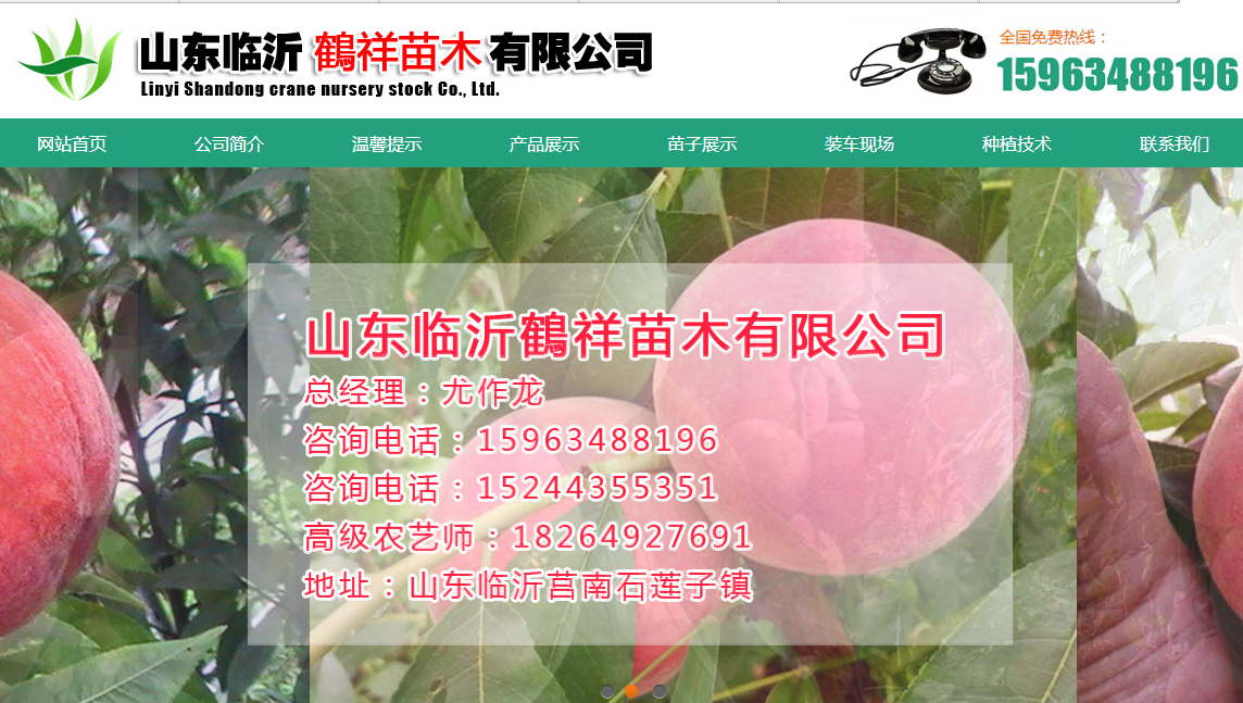临沂鹤祥苗木网站案例图