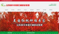 临沂展华美国红枫